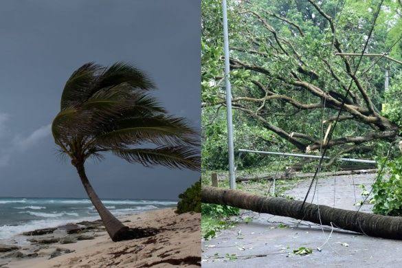 Chennai Michaung cyclone 