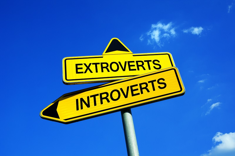 Introversion and extravert personality