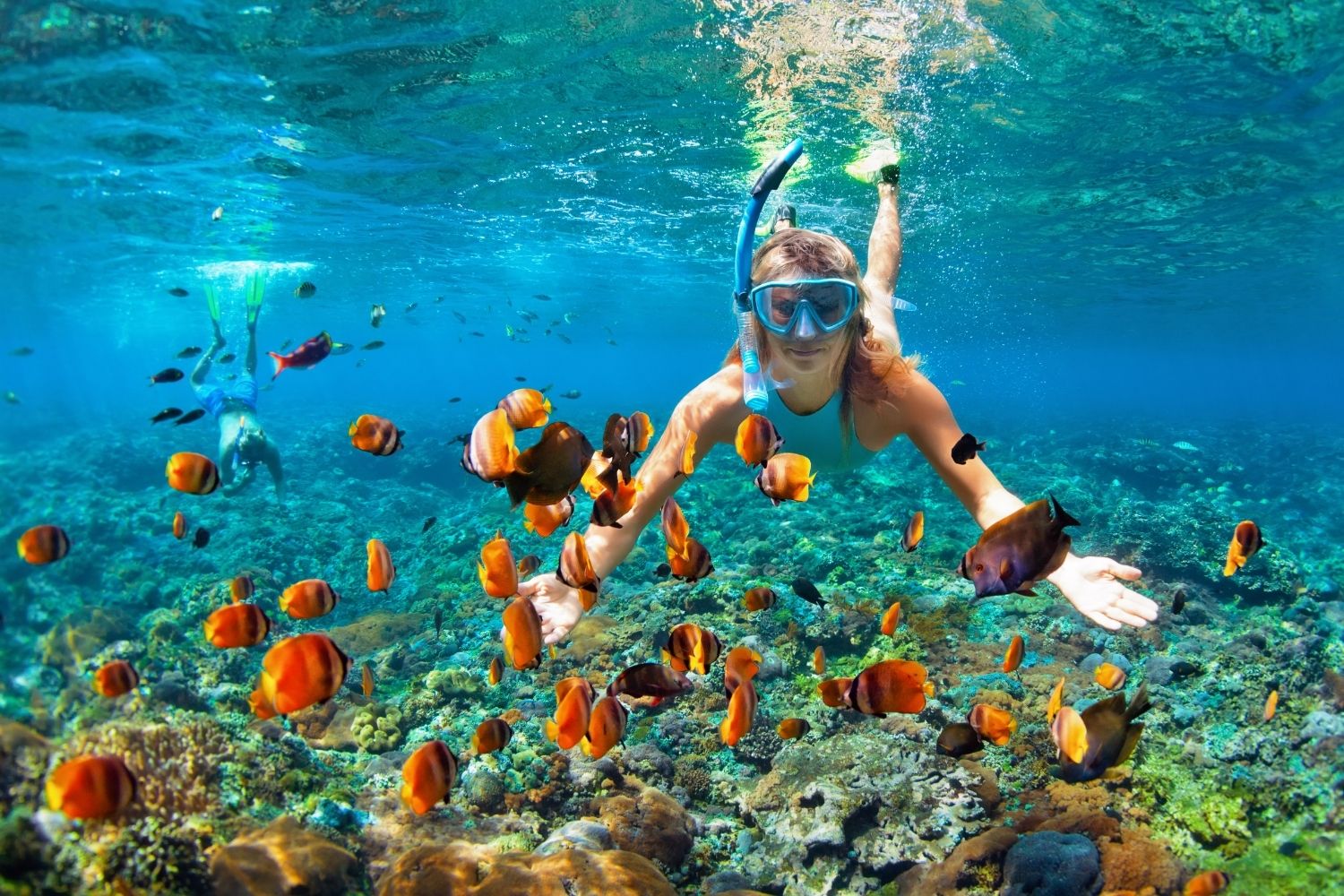 lakshadweep snorkeling