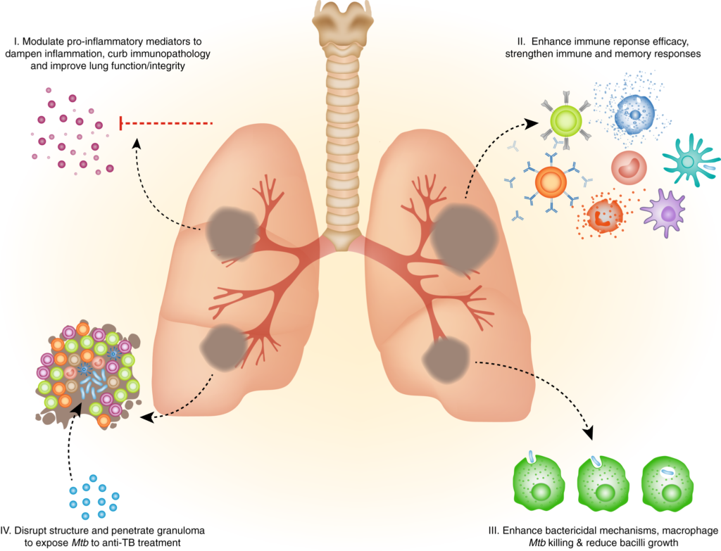 immunity & tb management